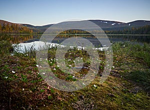 Blue sky over the lake in Pallastunturi National Park, Finnish, Lapland