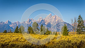 Blue sky over the majestic mountain peaks of Grand Teton National Park