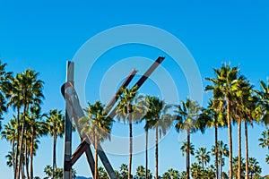 Blue sky over palm trees in Venice Beach