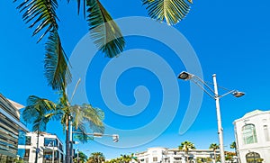 blue sky over Rodeo drive