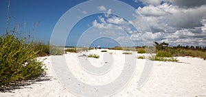 Blue sky over white sand and green beach grass of Tigertail Beach photo