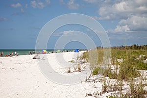 Blue sky over white sand and green beach grass of Tigertail Beach