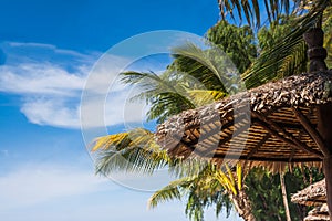 Blue sky with palm tree and umbrella