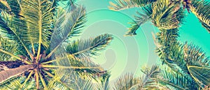 Blue sky and palm trees view from below, vintage style, summer panoramic background