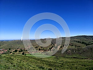 Blue sky, quiet grassland, harmonious beauty