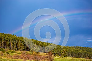 Blue sky with rainbow over the trees. Very bright rainbow with f