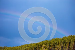 Blue sky with rainbow over the trees. Very bright rainbow with f