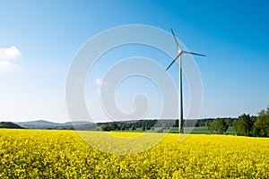 Blue sky, rapeseed and windwheel