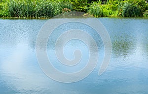 Blue sky Reflection of the meadow in the water and green grasses edges