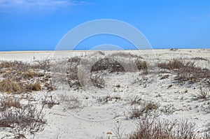 Blue sky, sand and sea grasses of Assateague Island