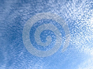 Blue sky with scattered altocumulus clouds