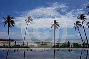 Blue sky, sea and swimming pool with towering coconut trees