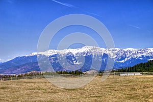Blue sky, snowy mountain, forest and meadow