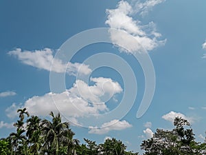 Blue sky with some cloud and green trees witch is a beautiful landscape picture