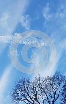 Blue sky with some clouds and a tree in the background