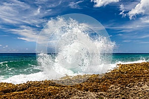 Blue sky and some fresh spray from a blow hole