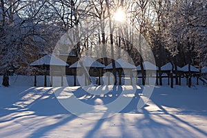 Blue sky, sunny weather. forest trees in snow. Wonderful fairytale Christmas New Year weather. Winter background for