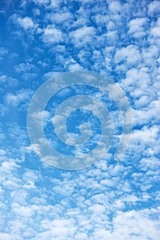 Blue sky with texture of many small white fleecy clouds