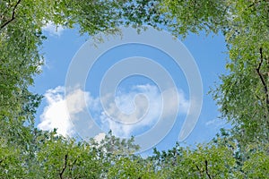 Blue sky with thinly cloud with green tree background