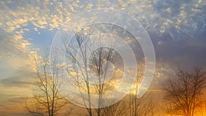 Blue sky trees sunset clouds