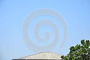 Blue sky of trees, tree tops facing blue sky in sunny day. jackfruit tree