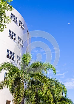 blue sky with white building and the palm tree