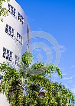 blue sky with white building and the palm tree