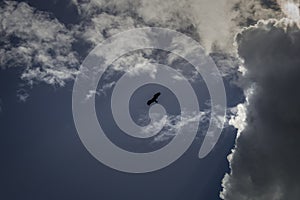 Blue sky with white clouds