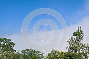 Blue Sky with White Clouds as Nature Background
