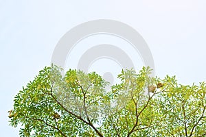 Blue sky white clouds for background