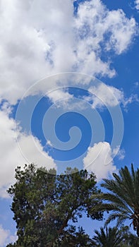 blue sky, white clouds background spring nature weather atmosphere, green trees