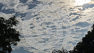Blue sky with white clouds. Cirrocumulus panorama