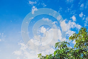 Blue sky with white clouds.on a clear day