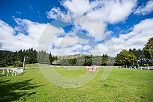 Blue sky and white clouds grass