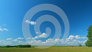 Blue Sky With White Clouds. Green Grass Field Agriculture Farm Concept. Calm And Peaceful.