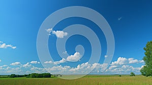 Blue Sky With White Clouds. Green Grass Field Agriculture Farm Concept. Calm And Peaceful.