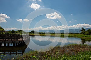 The blue sky, white clouds and green water in Baihe District of Tainan City form a beautiful summer landscape!