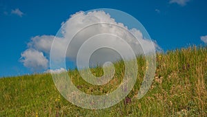 Blue sky, white clouds and hillside covered with flowers and herbs, rural landscape