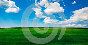 Blue sky and white clouds over a green field spring time