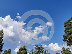 Blue sky with white clouds in Summer