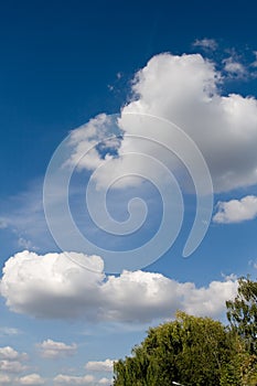 Blue sky, white clouds and the tops of trees on a day