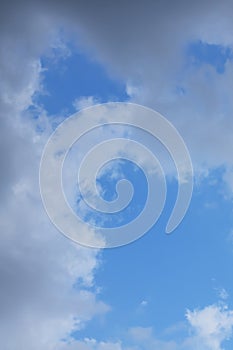 A blue sky with white clouds and tree branches below