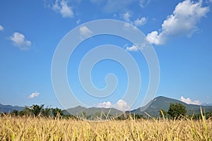 Blue sky white fuffly clouds in bright day with a mountain view