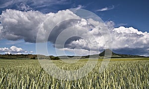 Blue sky white clouds over field