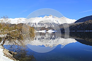 Blue sky, white mountain, lake and the tree