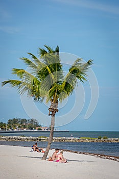 Blue sky with white sand and palm beach in Key West