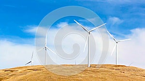 Blue Sky Windmills Cinemagraph Living Photo