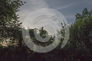 Blue sky with wispy clouds
