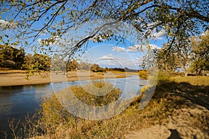 Blue sky and yellow grass in autumn Mongolia