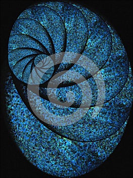 Blue Snail Shell Fossil Spiral